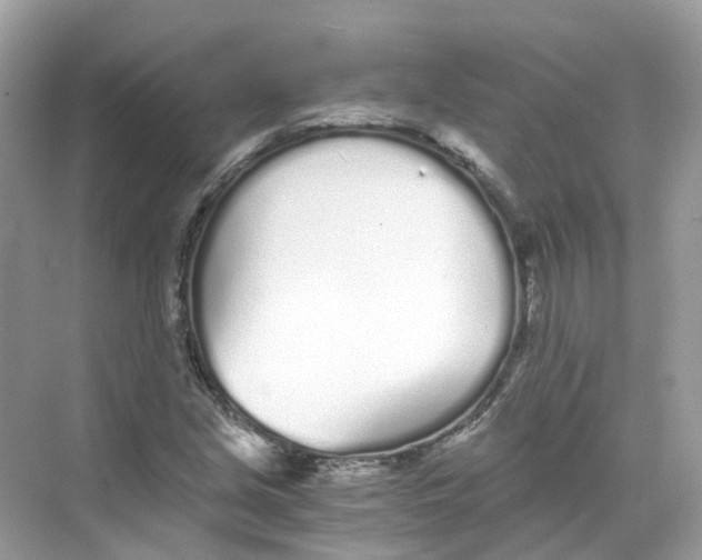 X0000068261213200605121811