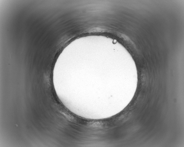 X0000068261217200605121811