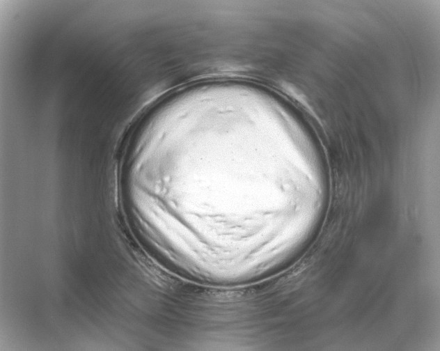 X0000068261219200605121811