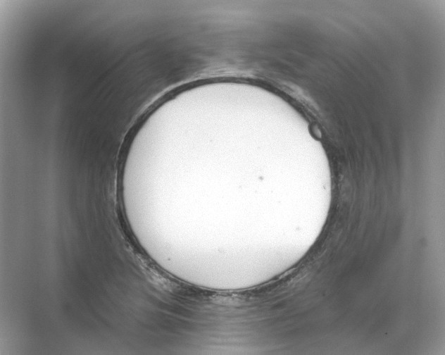 X0000068261220200605121811