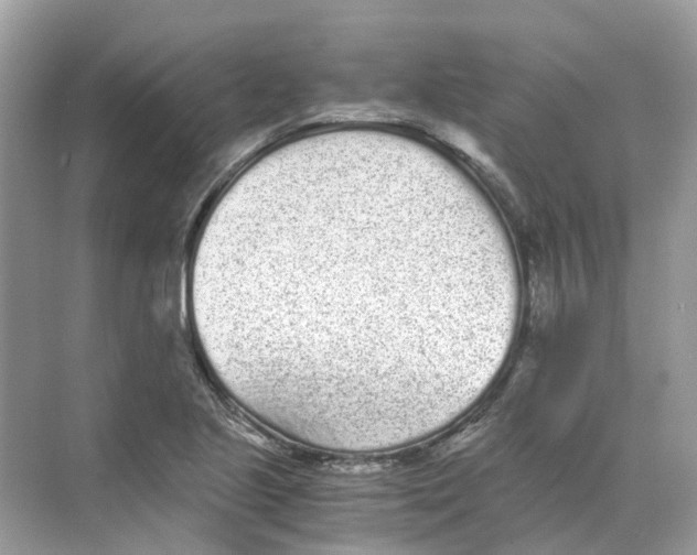 X0000068261221200605121811