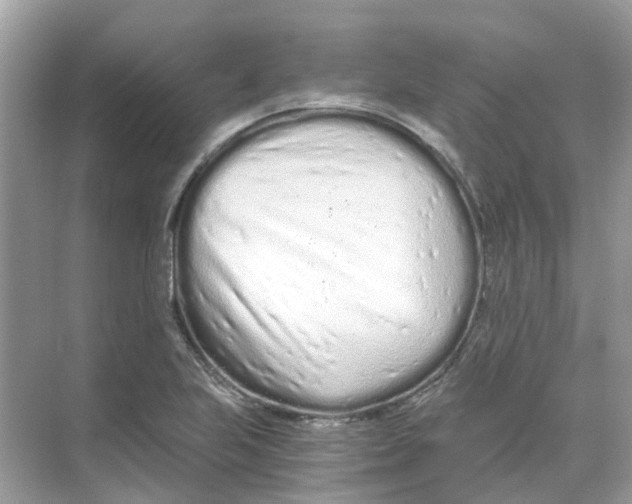 X0000068261223200605121811