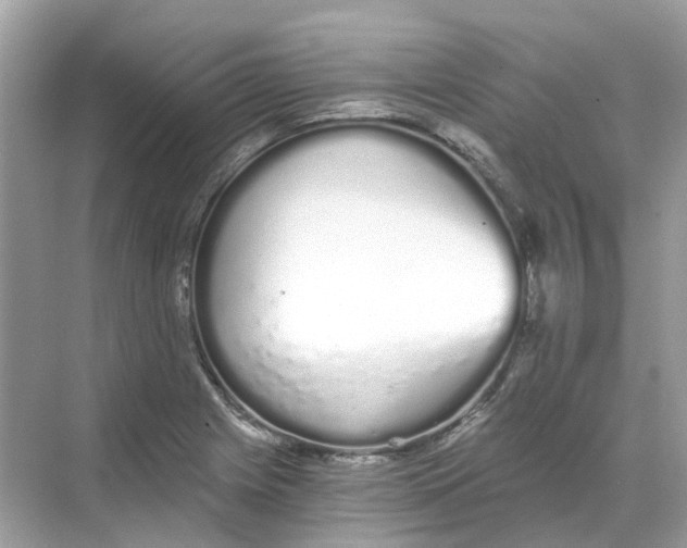 X0000068261225200605121811