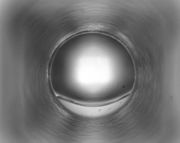 X0000068261226200605121811