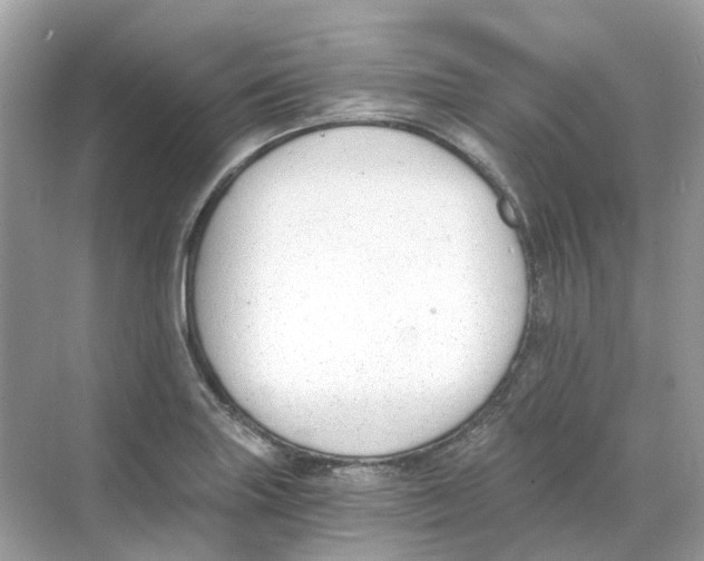 X0000068261227200605121811