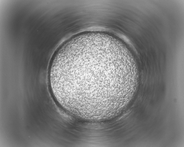 X0000068261229200605121811