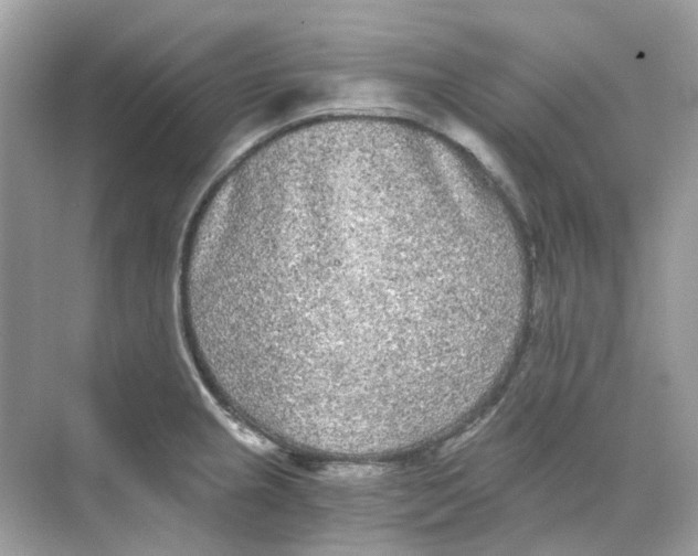 X0000068261237200605121812