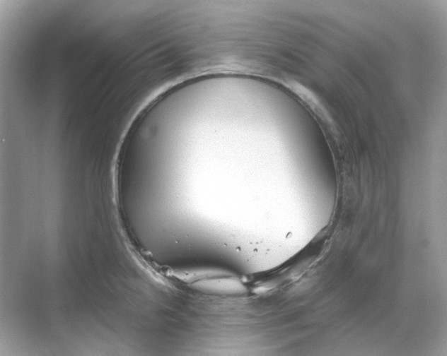 X0000068261238200605121812