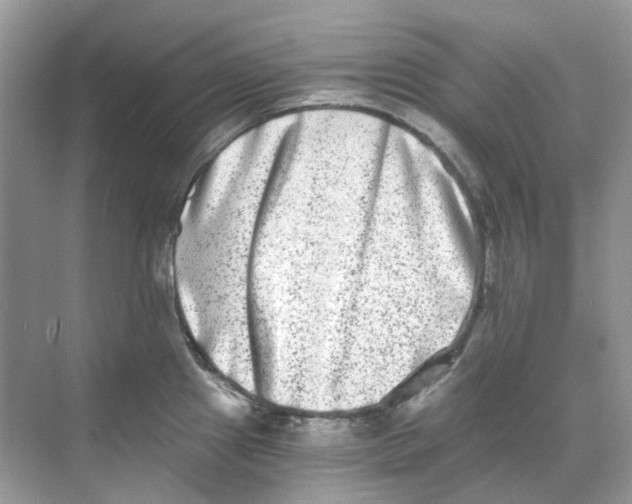 X0000068261241200605121812