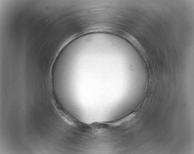 X0000068261242200605121812