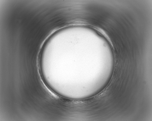 X0000068261243200605121812