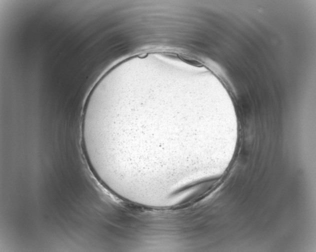 X0000068261244200605121812