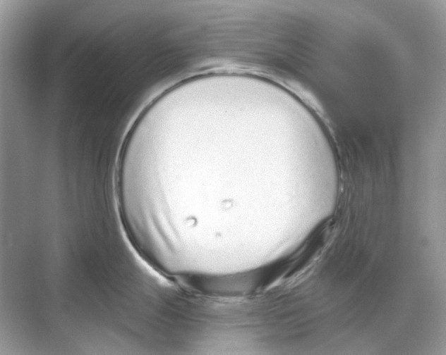 X0000068261247200605121812