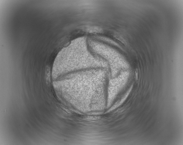 X0000068261251200605121811