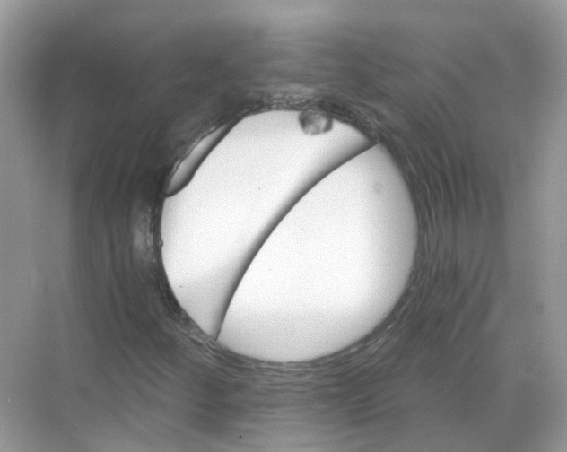 X0000068261252200605121811