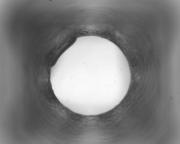 X0000068261253200605121811