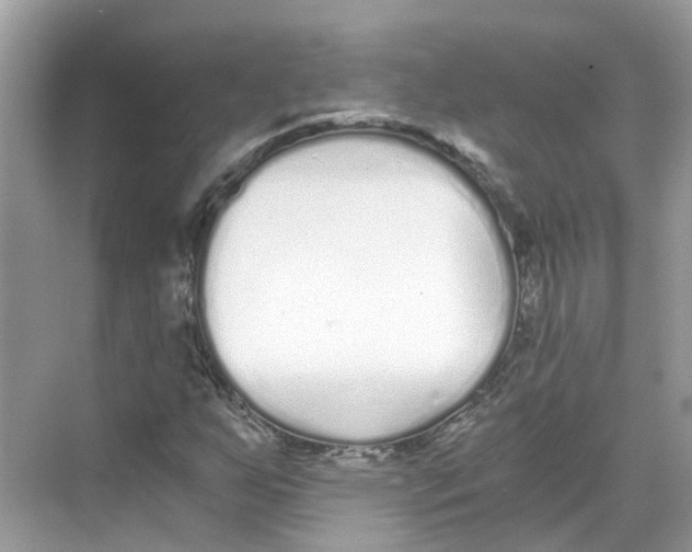 X0000068261255200605121811