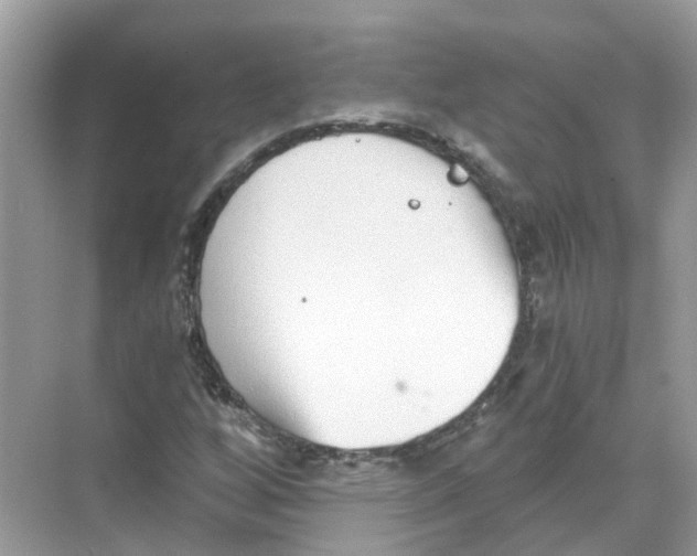 X0000068261256200605121811