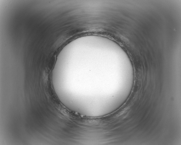 X0000068261257200605121811