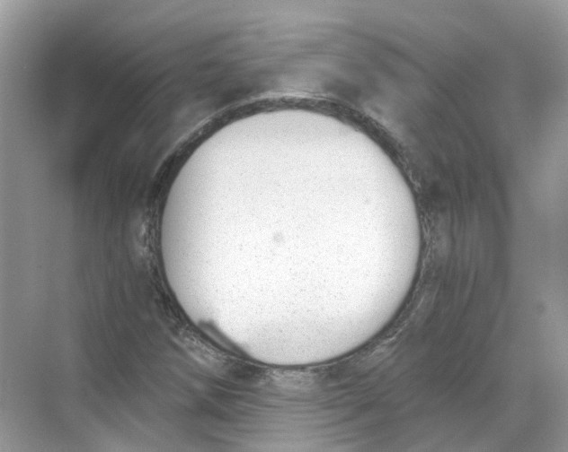 X0000068261258200605121811