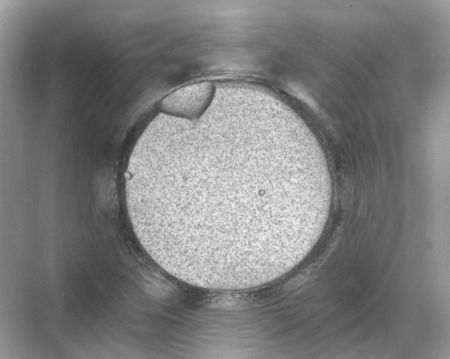 X0000068261259200605121811