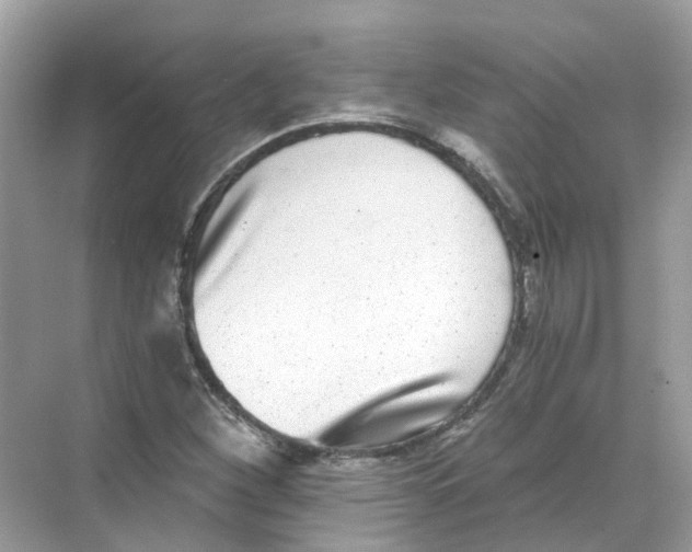 X0000068261260200605121811