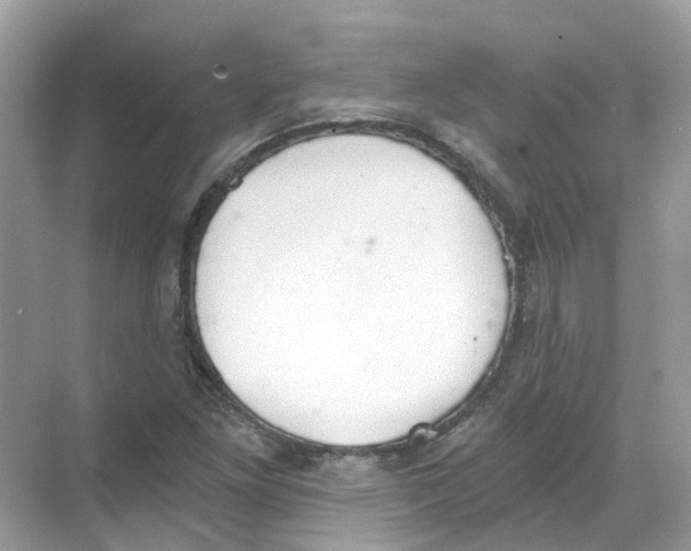 X0000068261261200605121811