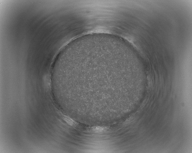 X0000068261266200605121811