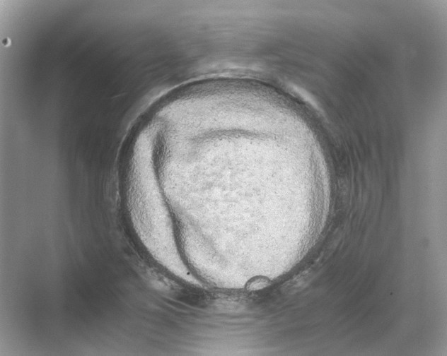 X0000068261267200605121811