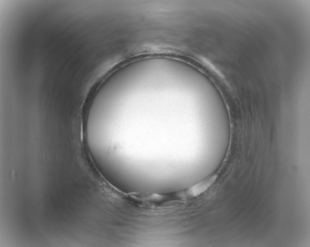 X0000068261269200605121811