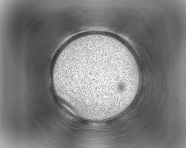 X0000068261271200605121811