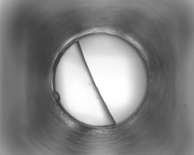 X0000068261272200605121811