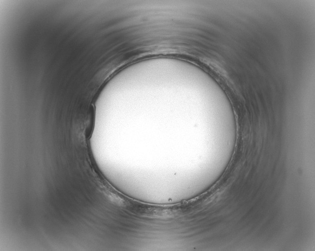 X0000068261273200605121811