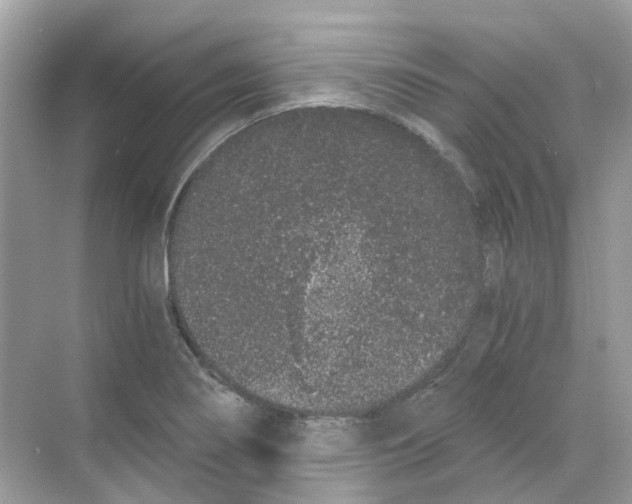 X0000068261274200605121811