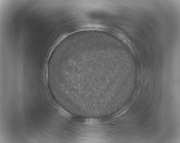 X0000068261275200605121811