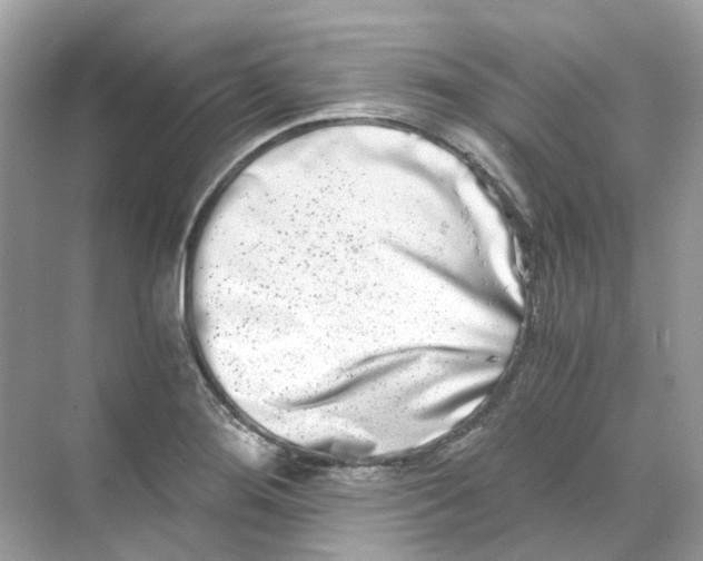 X0000068261276200605121811