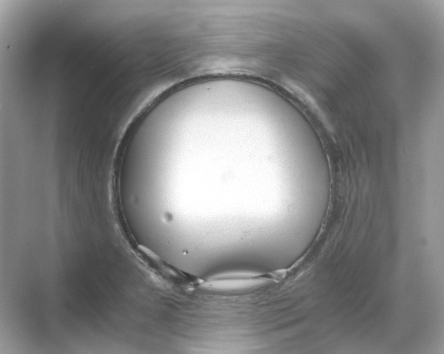 X0000068261277200605121811