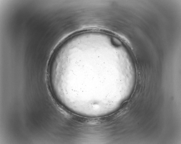 X0000068261279200605121810