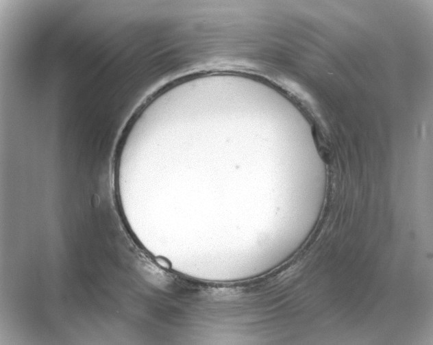 X0000068261280200605121810