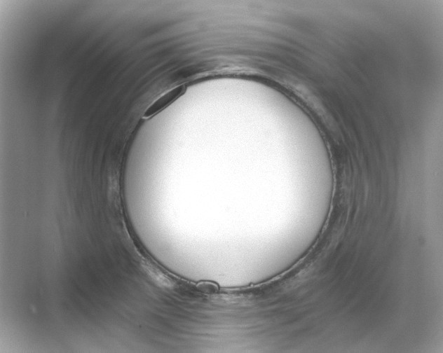 X0000068261281200605121810