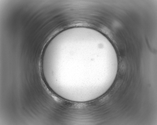 X0000068261282200605121810