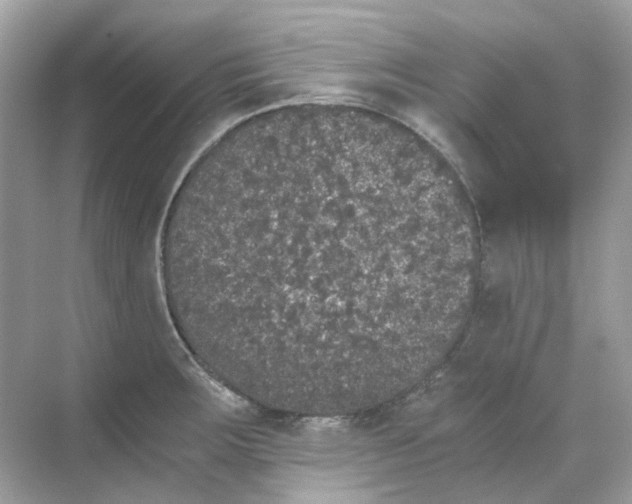 X0000068261283200605121810