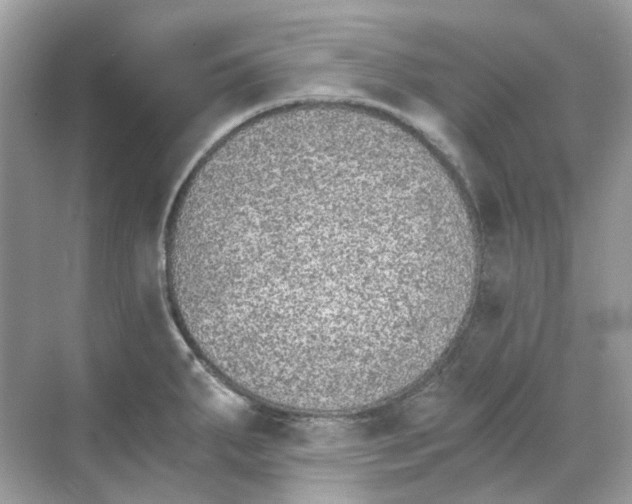 X0000068261287200605121810