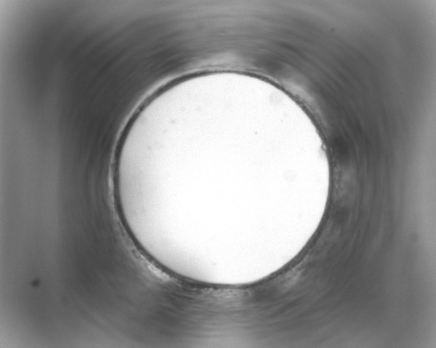 X0000068261288200605121810