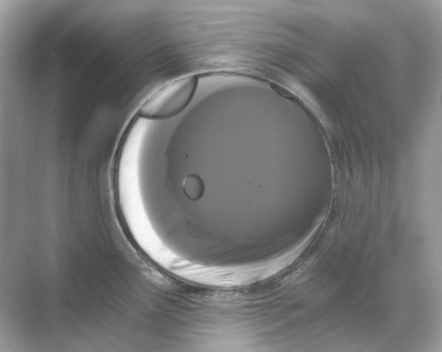 X0000068261291200605121810