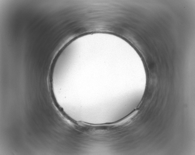 X0000068261293200605121810