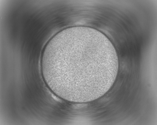 X0000068261294200605121810