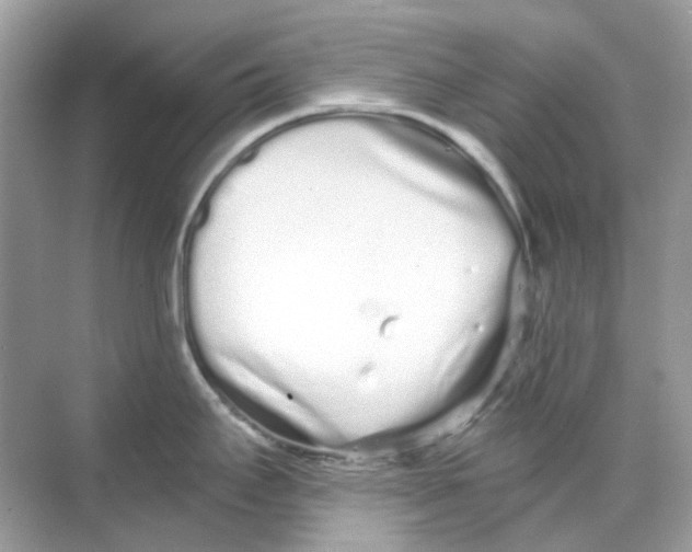 X0000068261295200605121810