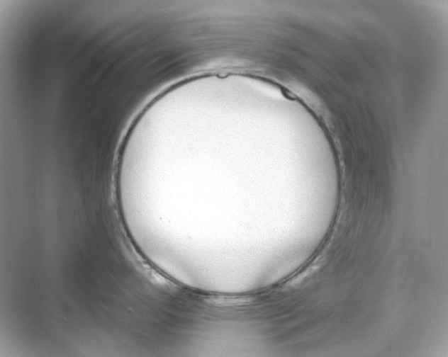 X0000068261296200605121810