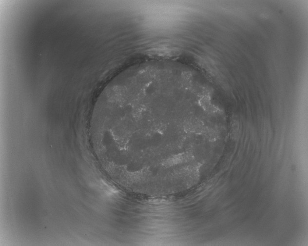 X0000068261297200605121809